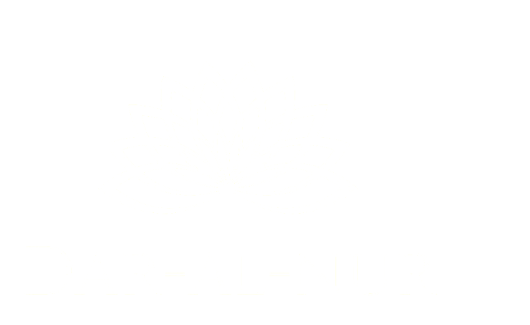 DAR AL NUR